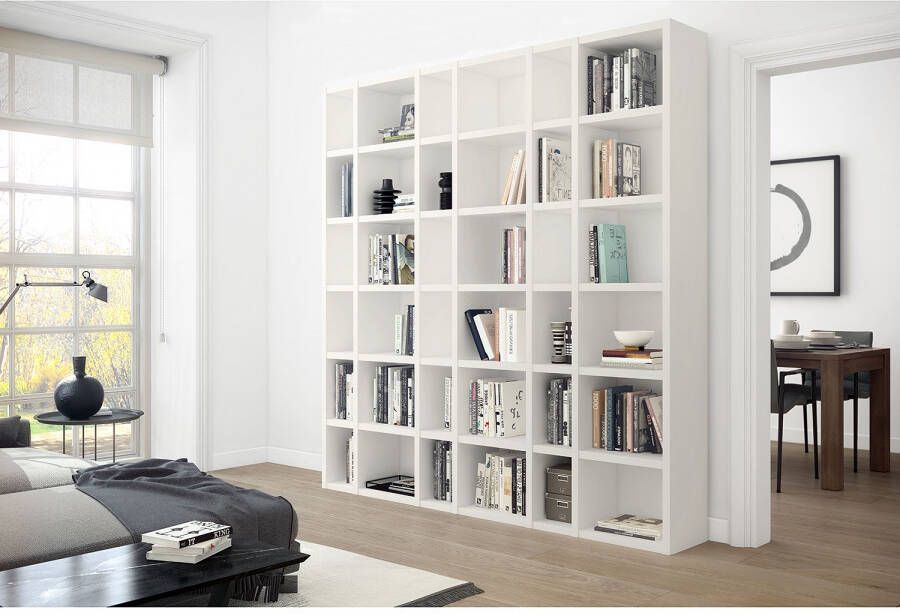 Home24 Boekenkast Emporior IX loftscape - Foto 3
