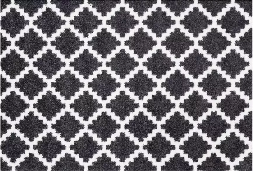 HANSE Home Mat Elegance deurmat Inloopmat binnen en buiten antislip weerbestendig deurmat - Foto 4