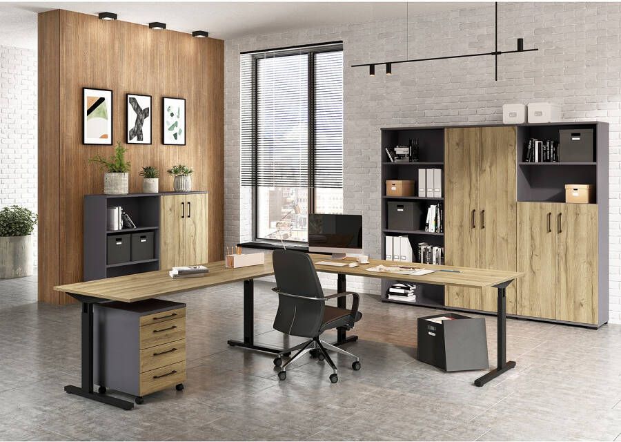 Germania Archiefkast Presley 80cm met 2 deuren & 2 open vakken eik grafiet