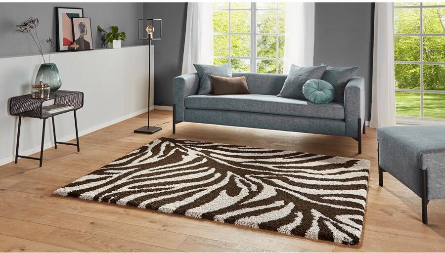 Mint rugs Hoogpolig vloerkleed Desert bruin crème 160x230 cm