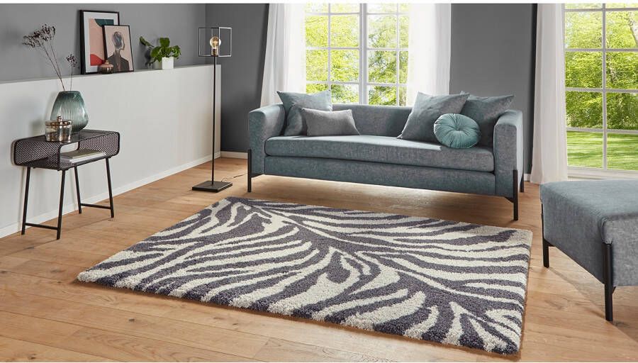 Mint rugs Hoogpolig vloerkleed Desert grijs crème 120x170 cm