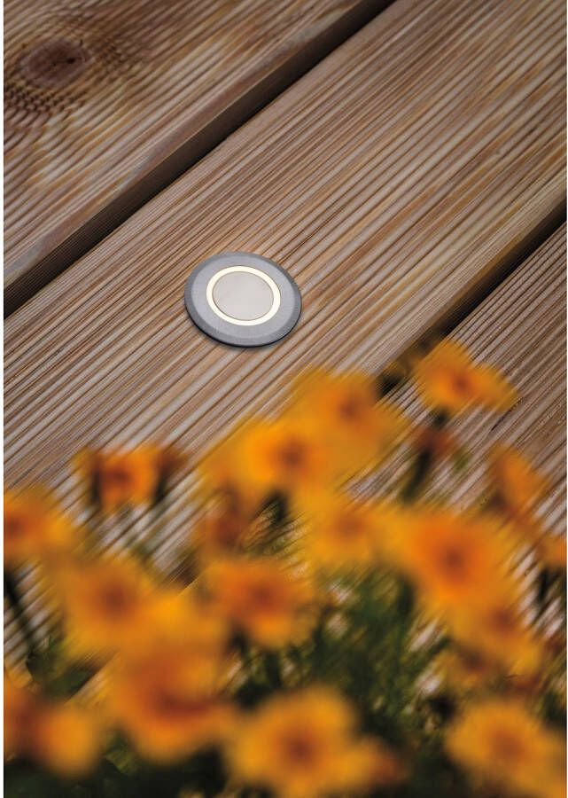 Paulmann Ledinbouwlamp Buiten 230V Bodem IP67 3000K 2W decoratief rond (1 stuk) - Foto 2