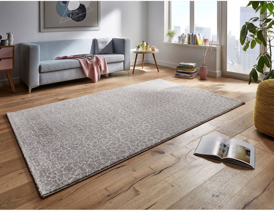 Mint rugs Modern design vloerkleed Dream grijs 80x150 cm