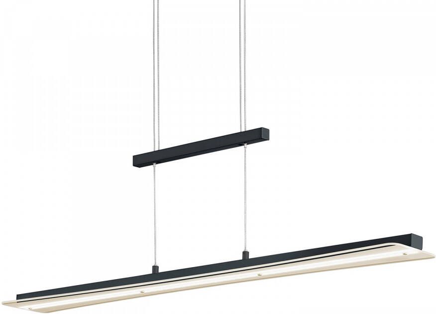 TRIO hanglamp Smash led 100 x 150 cm staal 18W 1800lm zwart - Foto 1