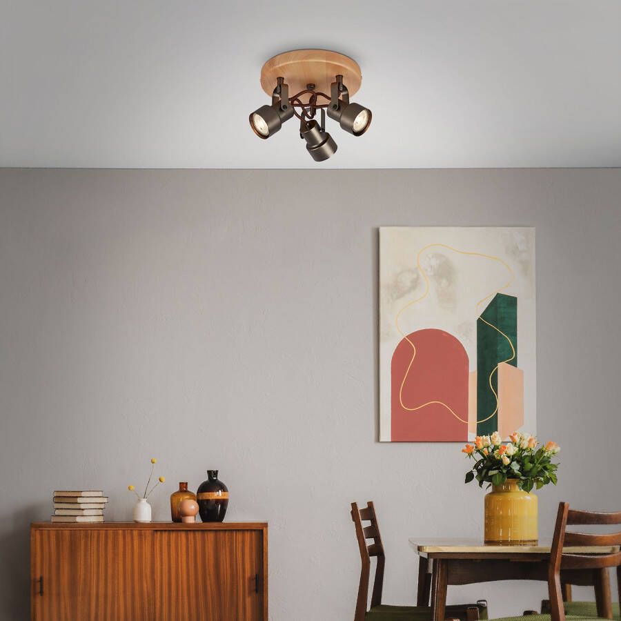 Briloner Leuchten Ledplafondspot voor buiten TAHUN