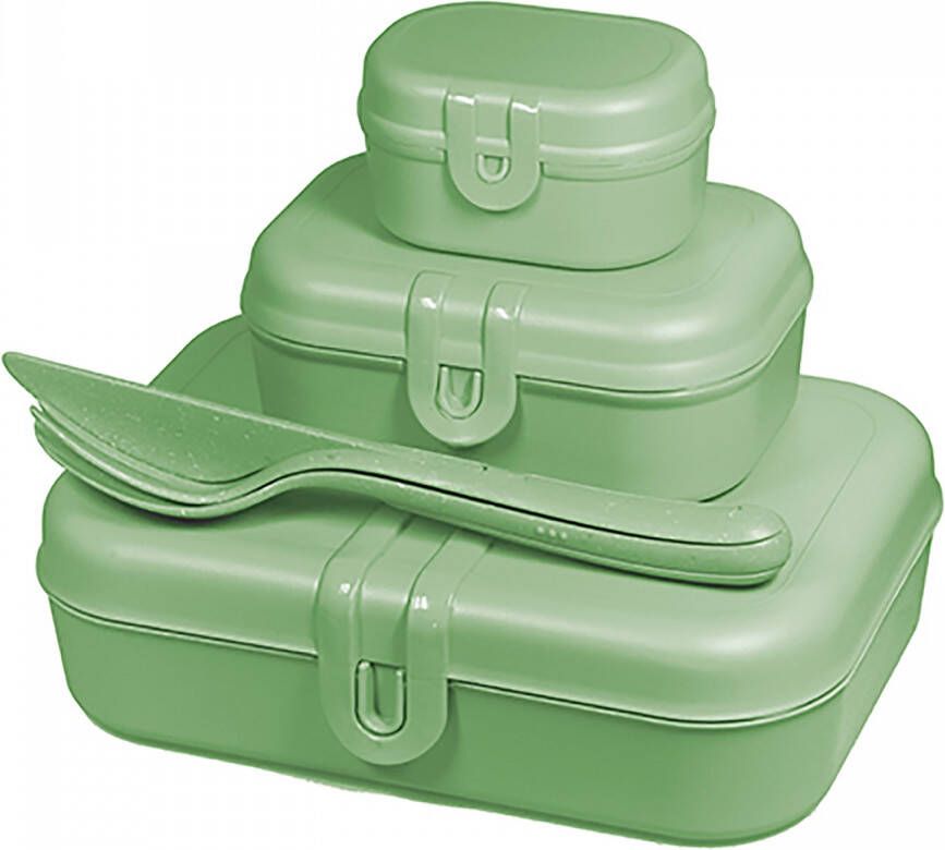 Koziol Lunchbox- en Bestekset Organic Blad Groen | Pascal