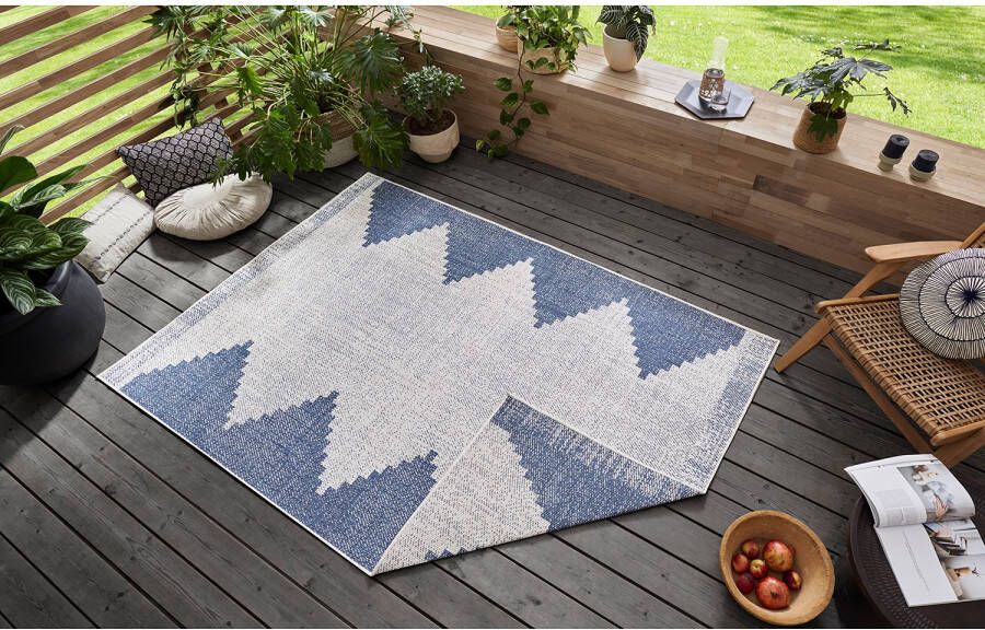 Freundin Home Collection Vloerkleed Diona Geschikt voor binnen en buiten woonkamer balkon terras tuin slijtvast en gemakkelijk in onderhoud platweefsel