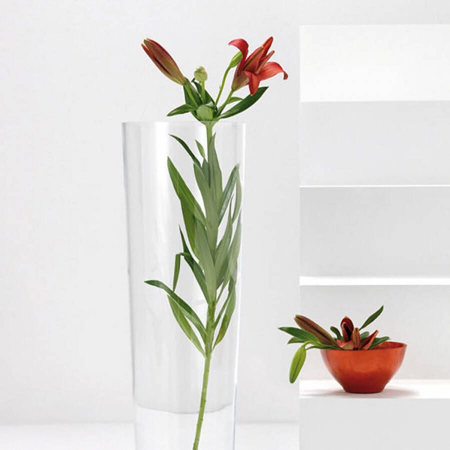 LEONARDO Vloervaas Decoratieve vaas CONISCH van glas handgemaakt uniek stuk (1 stuk) - Foto 1