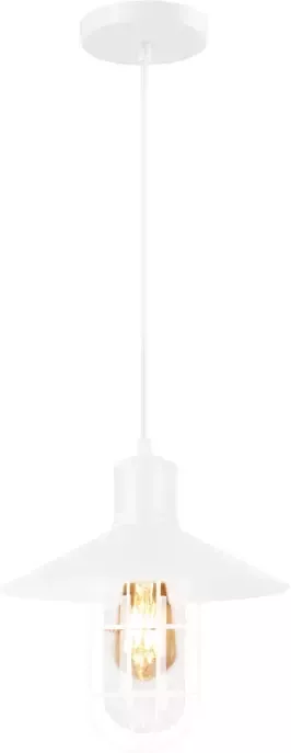 QUVIO Hanglamp industrieel Glas met metaaldraad Diameter 27 cm Wit