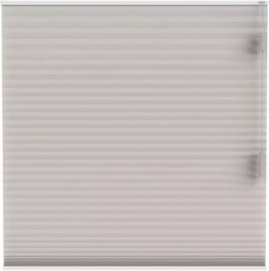 Fenstr plisségordijn Boston dubbel 25mm lichtdoorlatend linnen (25511) Leen Bakker