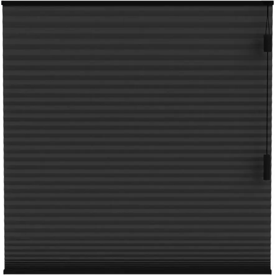 Fenstr plisségordijn Boston dubbel 25mm lichtdoorlatend zwart (15020) Leen Bakker