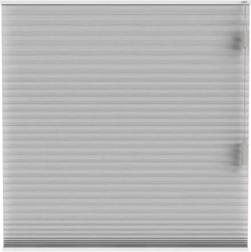 Fenstr plisségordijn Brisbane dubbel 25mm lichtdoorlatend taupe (30017) Leen Bakker