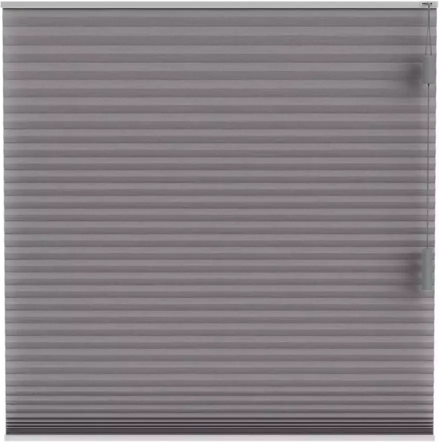 Fenstr plisségordijn Chicago dubbel 25mm lichtdoorlatend grijs (20227) Leen Bakker - Foto 1