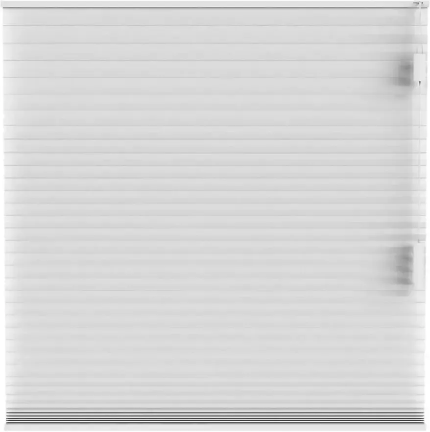 Fenstr plisségordijn Chicago dubbel 25mm lichtdoorlatend wit (10011) Leen Bakker