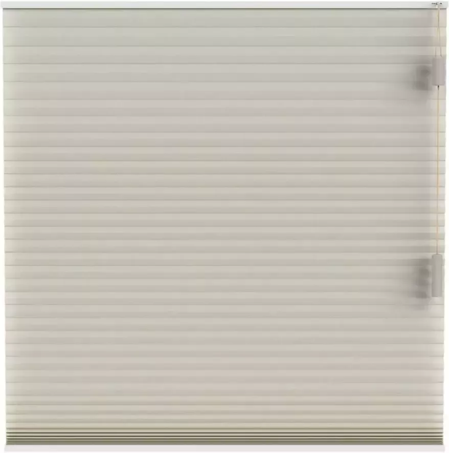 Fenstr plisségordijn Chicago dubbel 25mm lichtdoorlatend zand (25314) Leen Bakker