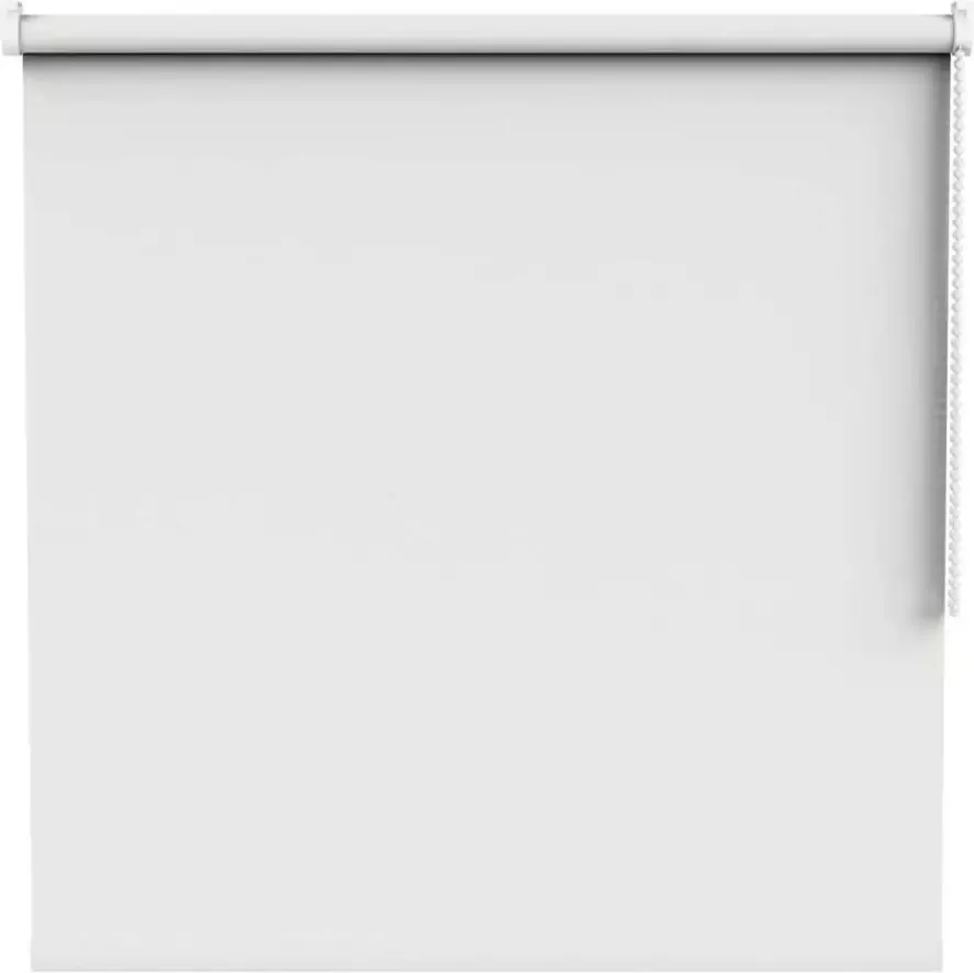 Fenstr rolgordijn Keulen lichtdoorlatend wit (10305) Leen Bakker - Foto 1