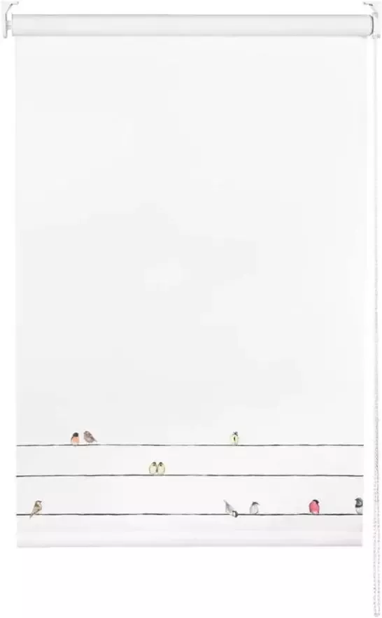 Iris Rolgordijn verduisterend vogels wit 150x190 cm Leen Bakker
