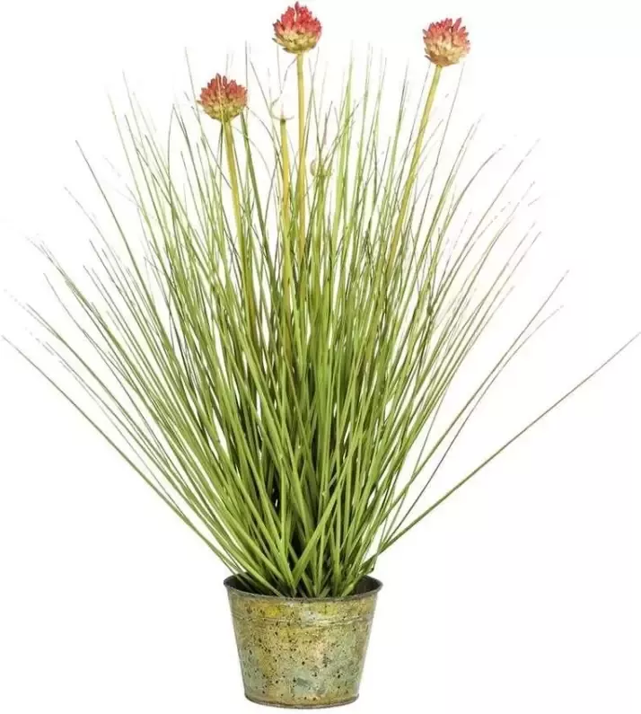 Leen Bakker Allium gras in pot paars 53 cm