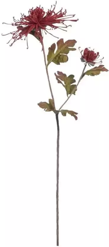 Leen Bakker Chrysanthemum spray bordeaux 75 cm