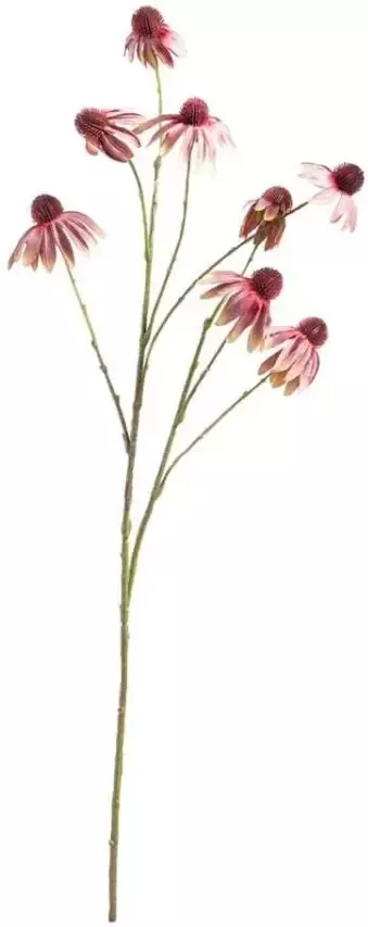 Leen Bakker Daisy Spray paars bruin 93 cm - Foto 1