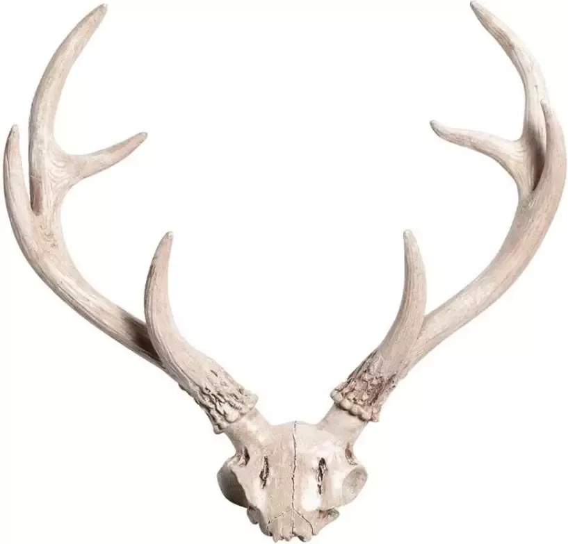 Leen Bakker Deco Skull Hertenkop is off-white is 32x34x6 cm