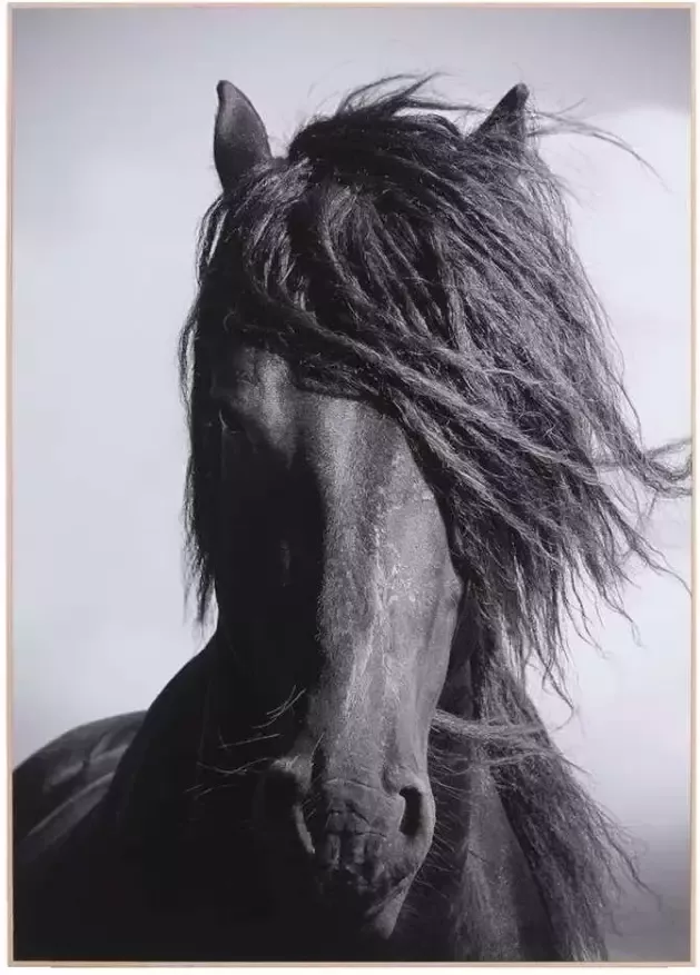 Leen Bakker Decopaneel Paard zwart wit 70X50 cm - Foto 1