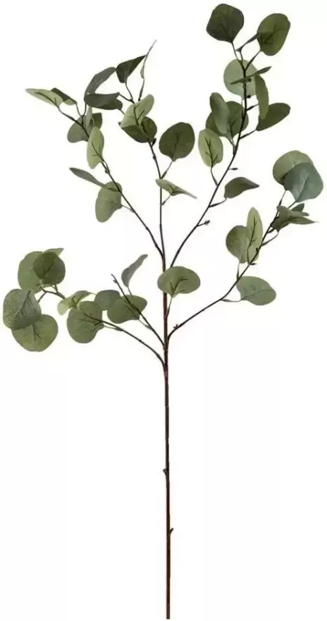 Leen Bakker Decoratieve tak Eucalyptus Spray 4 stuks grijs groen 87 cm