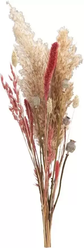 Leen Bakker Droogbloemen boeket mix roze 45 cm