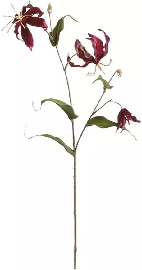 Leen Bakker Gloriosa tak paars 75 cm