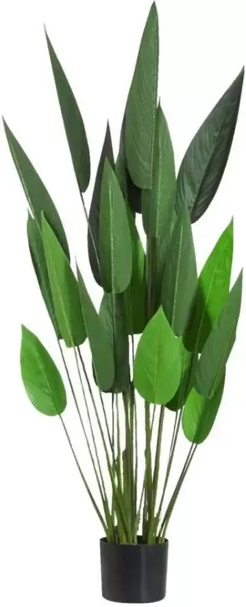 Leen Bakker Heliconia tak groen 130 cm - Foto 2