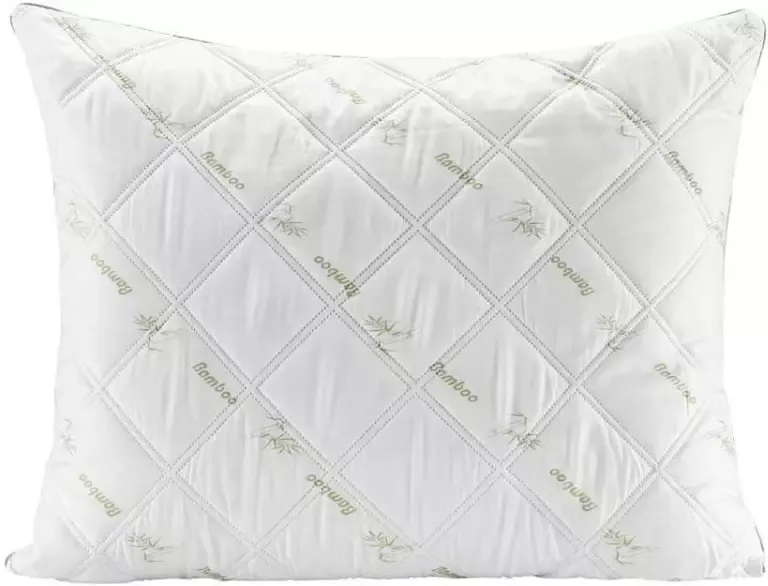 Leen Bakker Hoofdkussen Bamboe 70x60 cm