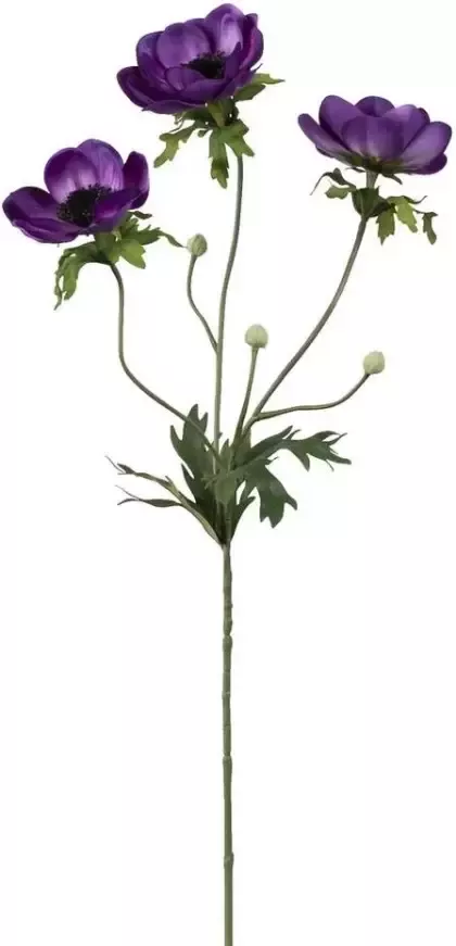 Leen Bakker Kunstbloem Anemone spray paars 75 cm