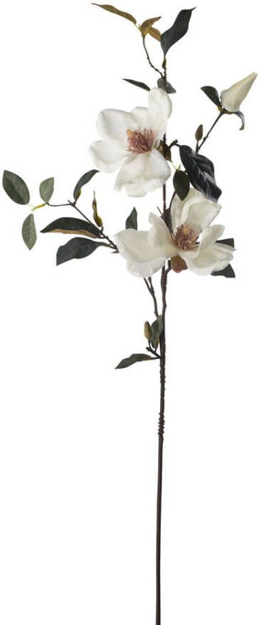 Leen Bakker Kunstbloem Magnolia Branch Crème 90 cm