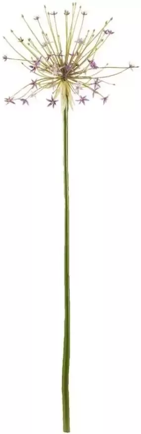 Leen Bakker Kunstbloem Sierui paars 105 cm