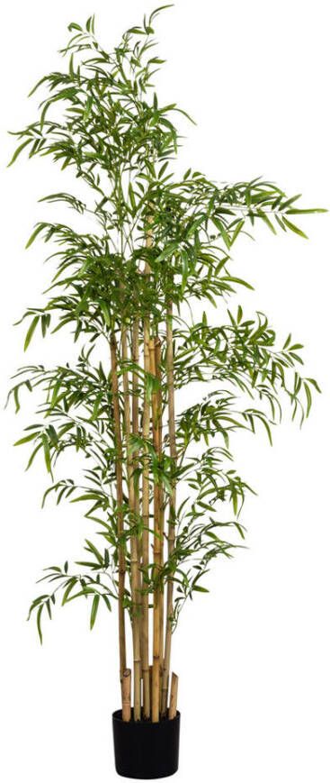 Leen Bakker Kunstplant Bamboe in pot groen 180 cm
