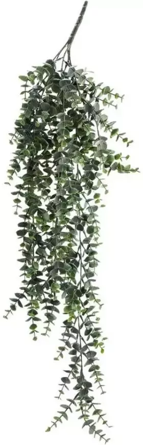 Leen Bakker Kunstplant Eucalyptus Hanging Bush groen 75 cm - Foto 1