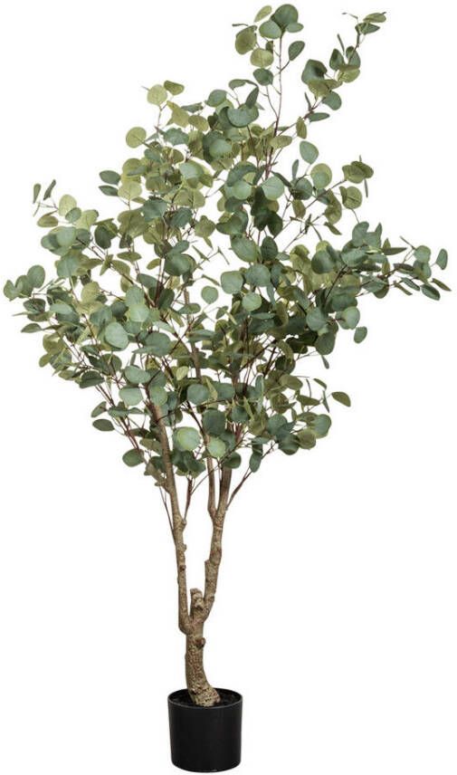 Leen Bakker Kunstplant Eucalyptus in pot groen 180 cm - Foto 1