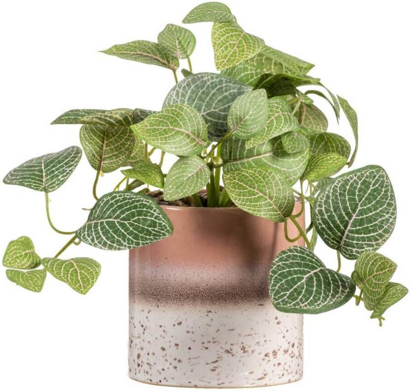 Leen Bakker Kunstplant Fittonia in pot Groen bruin 30 cm