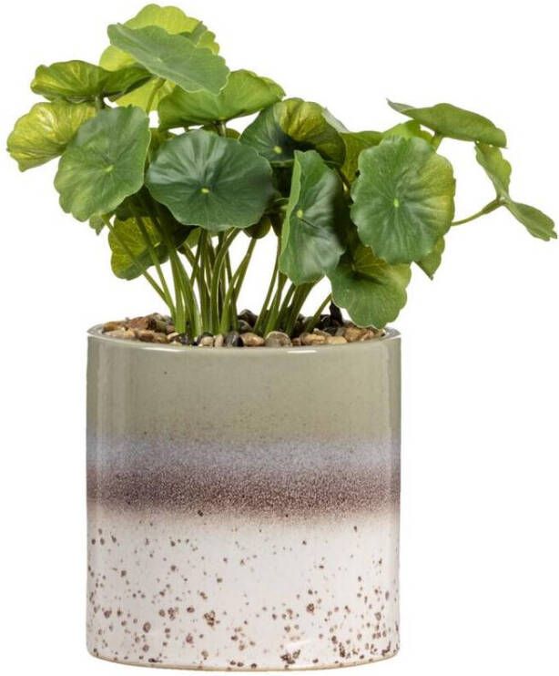 Leen Bakker Kunstplant Hydrocotyle in pot groen 30 cm