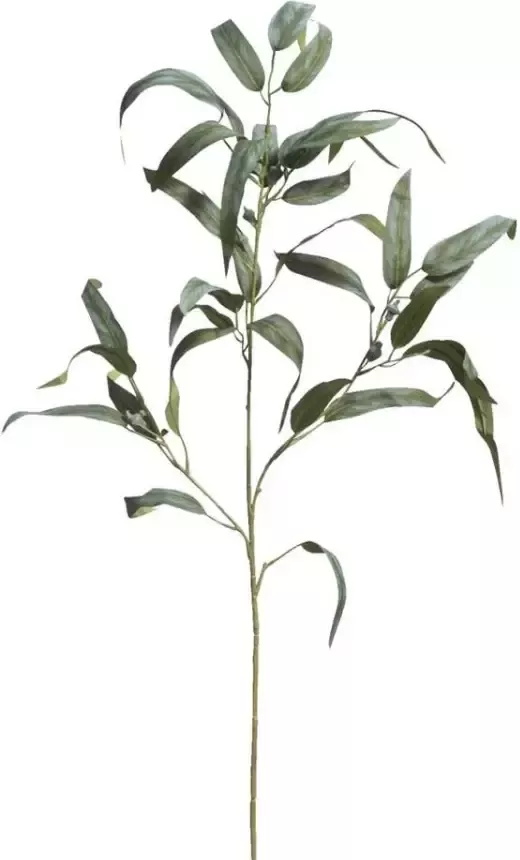 Leen Bakker Kunsttak Eucalyptus spray groen 100 cm - Foto 1