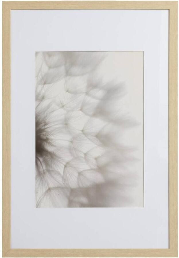 Leen Bakker Fotolijst Haarlem naturel 61x91 5 cm