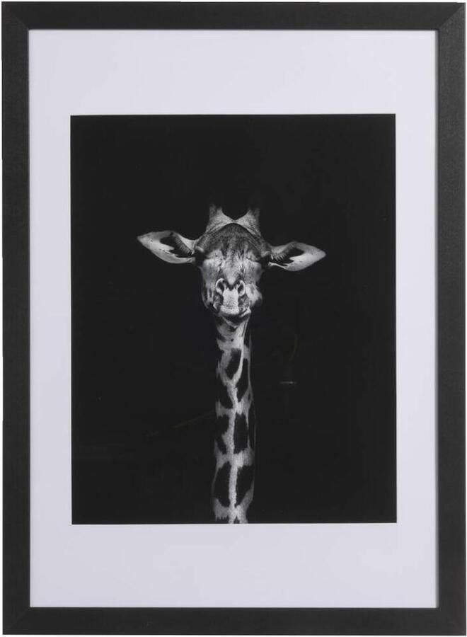 Leen Bakker Fotolijst Haarlem zwart 50x70 cm