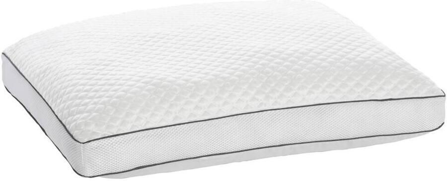 Leen Bakker Hoofdkussen verkoelend 50x60 cm