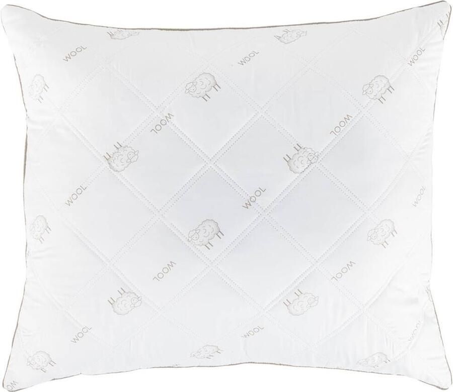 Leen Bakker Hoofdkussen wol 60x70 cm