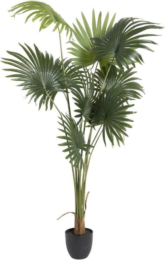 Leen Bakker Kunstplant Waaierpalm in-pot groen zwart 180 cm