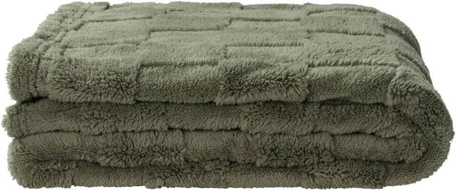 Leen Bakker Plaid Sjors groen 130x170 cm