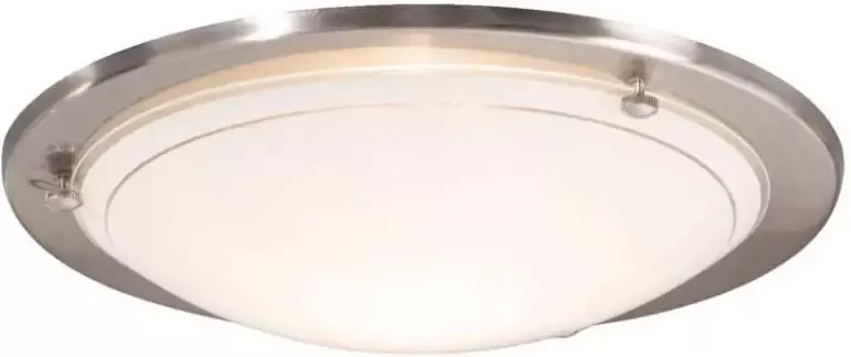 Leen Bakker Plafondlamp Basic zilverkleur Ø27 cm