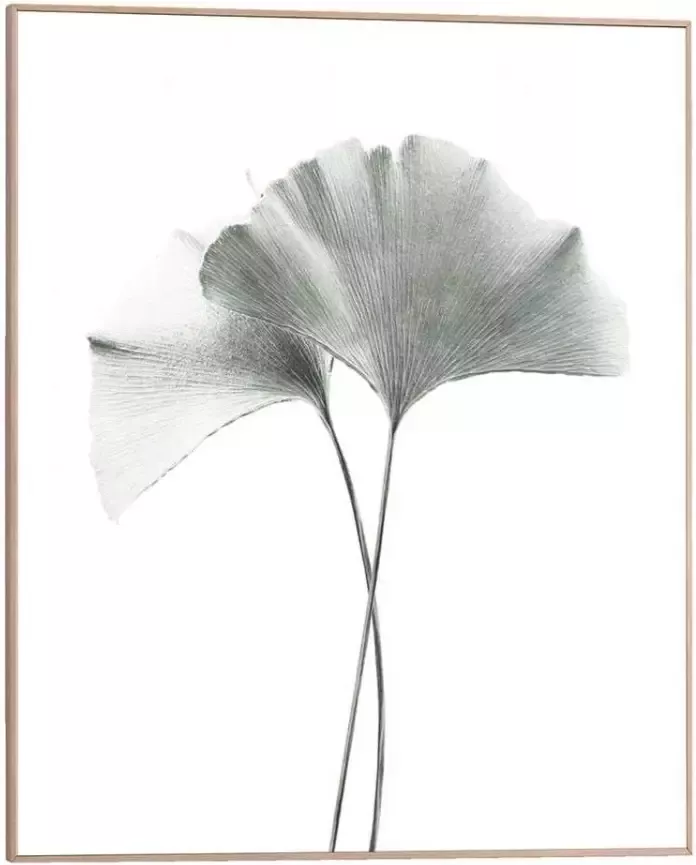 Leen Bakker Poster met lijst Gingko Tak 50x40 cm - Foto 2
