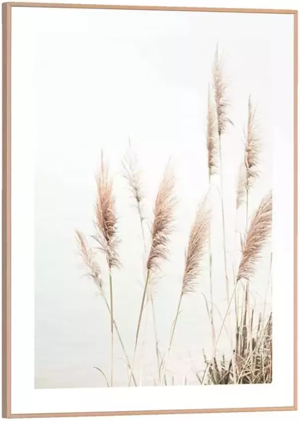 Leen Bakker Poster met lijst Pampas Helmgras 40x30 cm - Foto 5