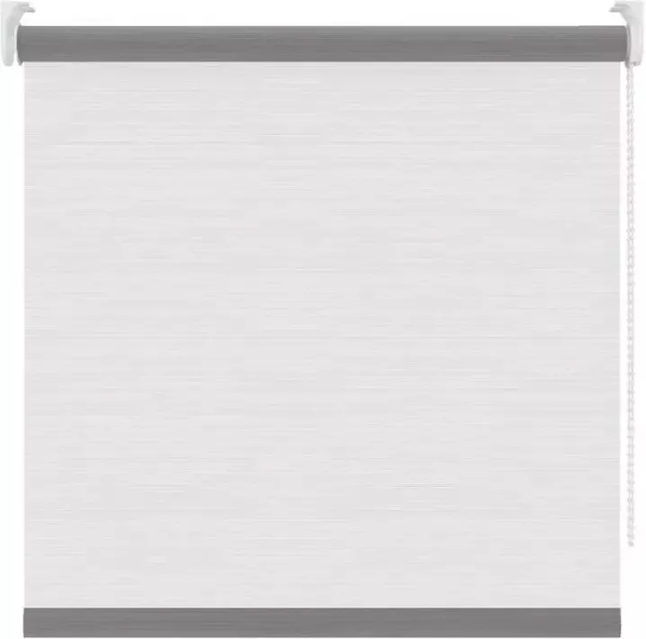 Leen Bakker Rolgordijn lichtdoorlatend wit 120x190 cm